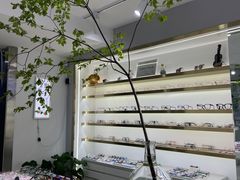 -视野联行眼镜蔡司·依视路官方授权店(顺城店)