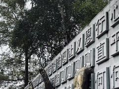 -云顶山风景区