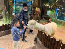 -宝燕乐园(闵行旗舰店)