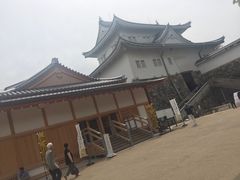 -名古屋城