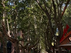 -西安电影制片厂