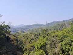 -深圳仙湖植物园
