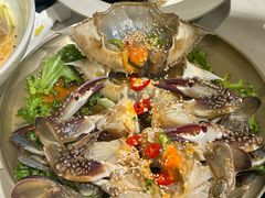 -黄金牧场(明洞总店)