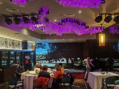 -悦江(梅奔中心店)