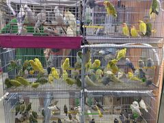 -三旗百汇商品城