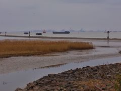 -上海吴淞炮台湾国家湿地公园