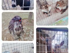 -武汉紫薇都市田园