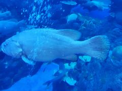 -成都浩海立方海洋公园