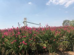 -武汉紫薇都市田园