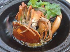 -老闽味姜母鸭·煎蟹闽菜餐厅(曾厝垵地标店)