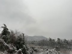 -南京老山国家森林公园