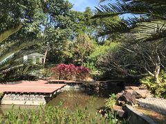 -深圳国际园林花卉博览园