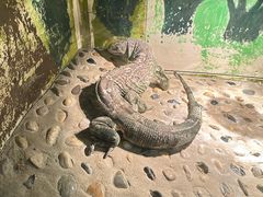 -上海昆虫博物馆