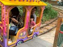 -杭州少年儿童公园
