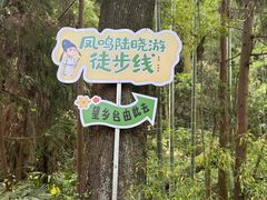 -凤栖山