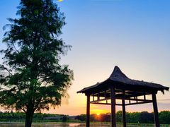 -广富林郊野公园