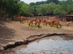 -第五季龙水凤港生态露营农场