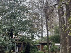 -林间山庄