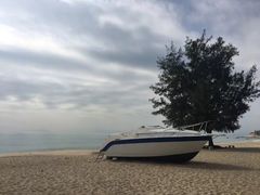 -玫瑰海岸文化旅游度假区