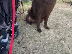 -J Create城市露营咖啡·简餐·宠物(上海动物园店)