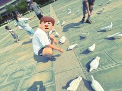 -天津妈祖文化园