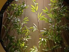 -鹤祥宫·影院足道·SPA连锁(沙井店)