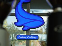 -Cetus coffee鲸鱼座咖啡·拼豆(二仙桥公园店)