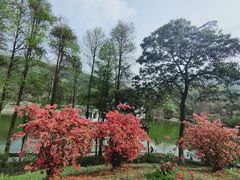 -广州市白云山风景名胜区