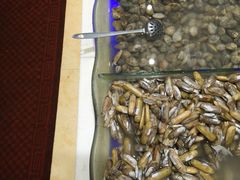 -银鲨海鲜烤肉火锅自助餐厅(五星店)