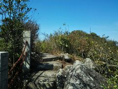 -江西阳明山国家森林公园