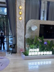 -深圳美莱医疗美容医院