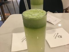 -飞行喵MR PILOT|猫舍·猫咖(静安大融城店)