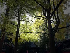 -成都武侯祠博物馆