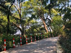 -吴山景区