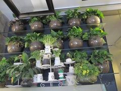 -树心旁千层蛋糕(国瑞购物中心店)