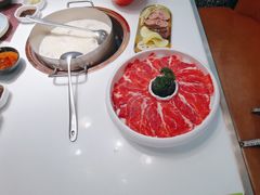 -洪氏嗨捞·猪肚鸡火锅(阳光天地店)