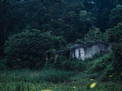 -广州市白云山风景名胜区