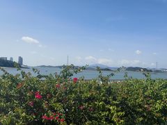 -海沧湾公园
