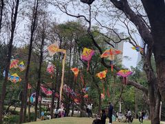 -人民公园(罗湖区)