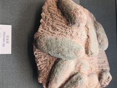 -大连自然博物馆