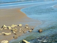 -深圳湾公园(南山区)