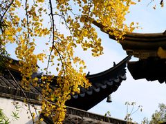 -西园戒幢律寺