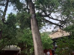 -红螺寺