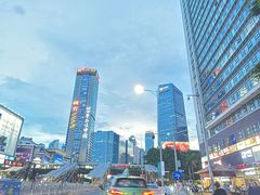 -铁公鸡·四川料理(天环广场店)