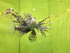 -台州海洋世界