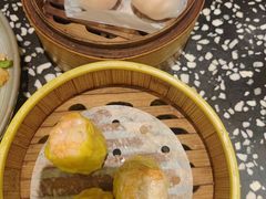 -金香匯晚茶(浑南店)