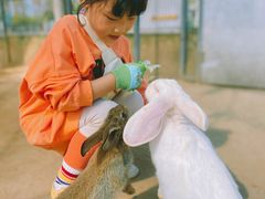 -前小桔亲子创意农场·草莓采摘·露营烧烤