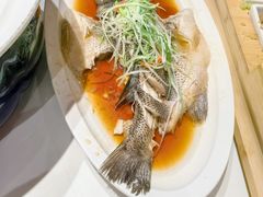 -院8里·小乐园家常味川菜(鹭洲里店)