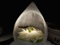 鲜花椒炝蚌片-蟹榭(静安寺晶品商场店)