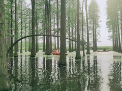 -渌洋湖湿地公园